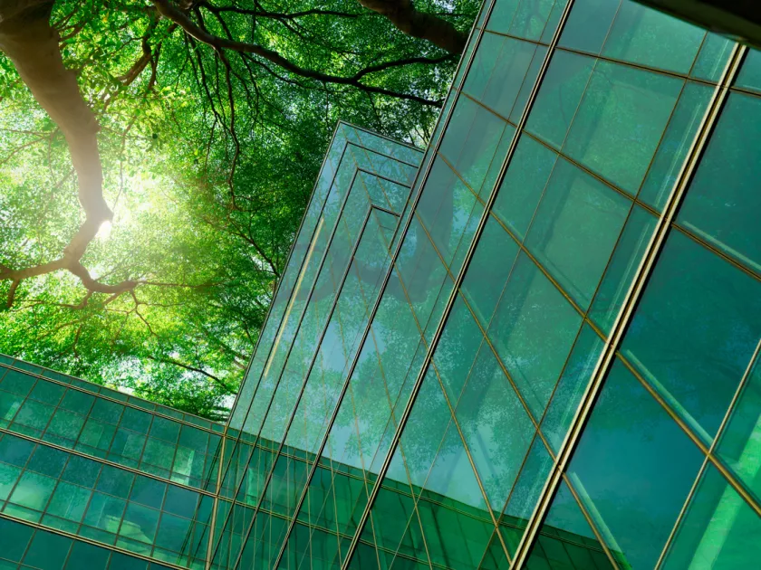 Sustainable finance